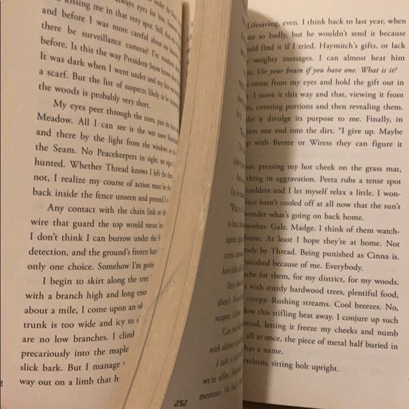 Hunger games catching fire book - Picture 4 of 5